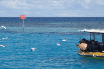 Heron Island