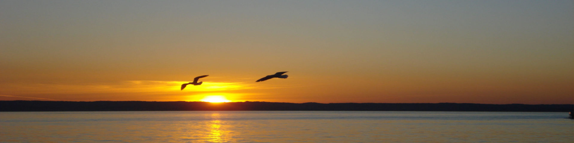 Phillip Island in Australien