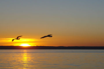 Phillip Island in Australien