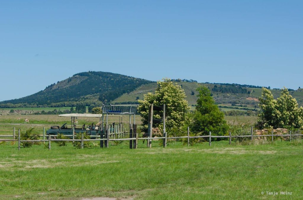 Plettenberg Bay Game Reserve