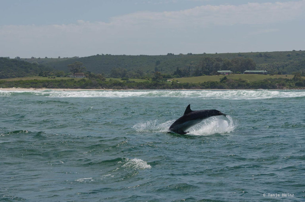Plettenberg Bay