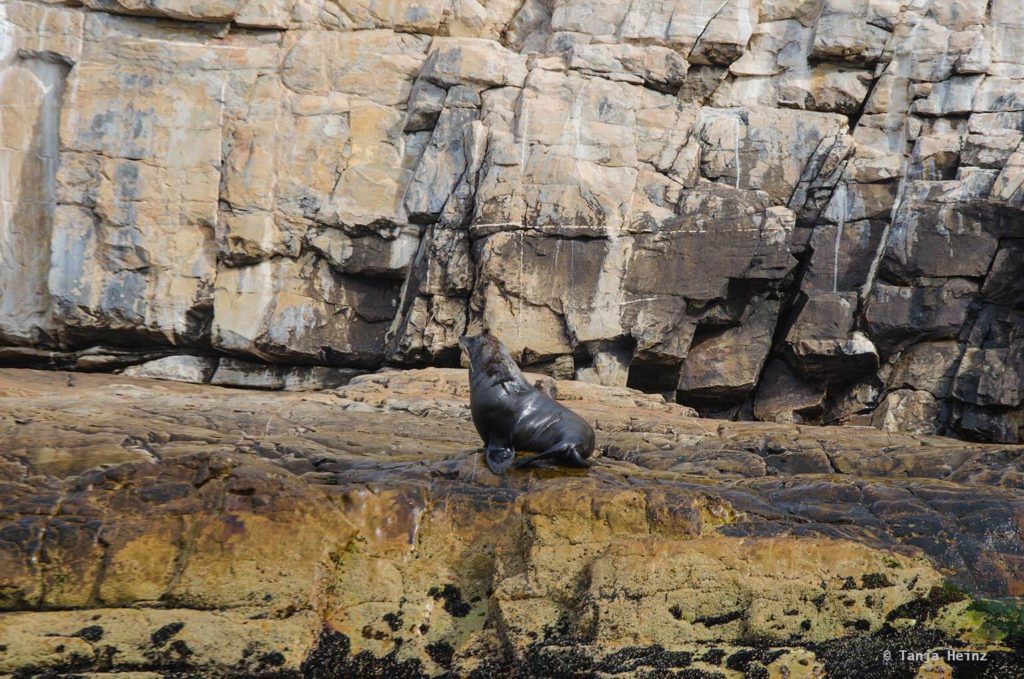Robberg Nature Reserve