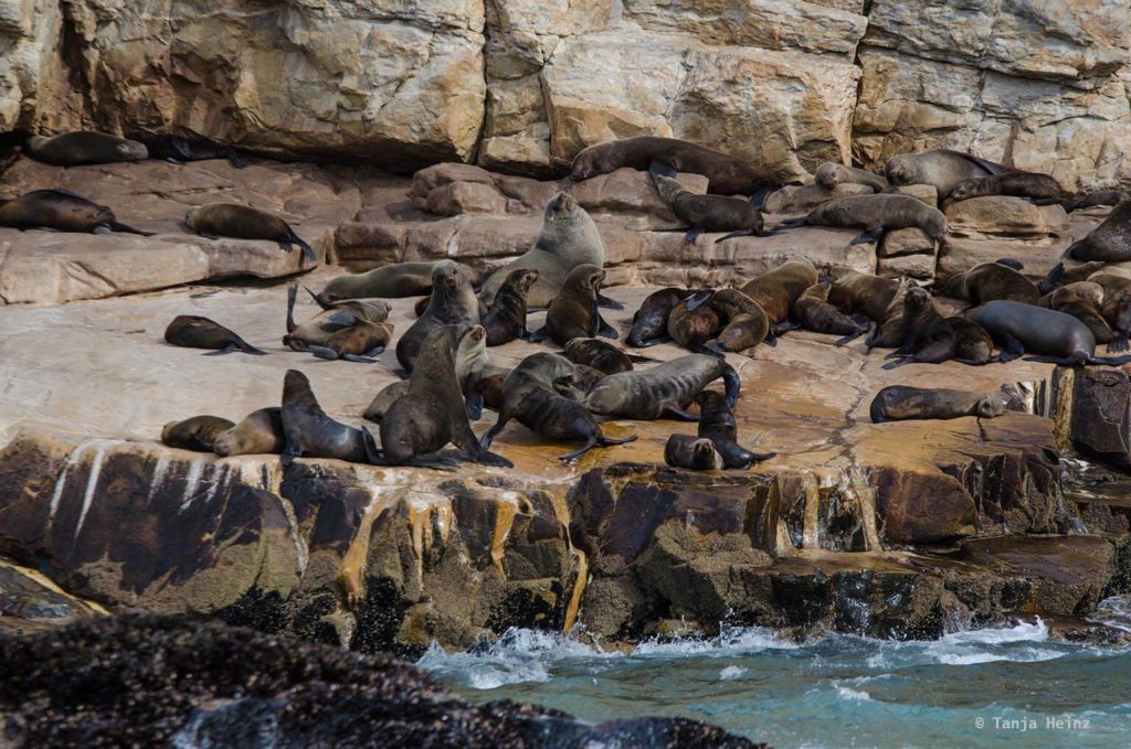 Robberg Nature Reserve
