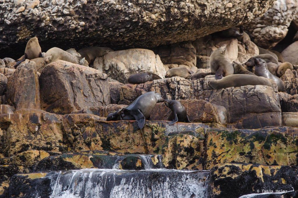 Robberg Nature Reserve