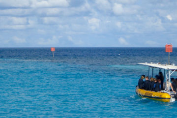 Heron Island