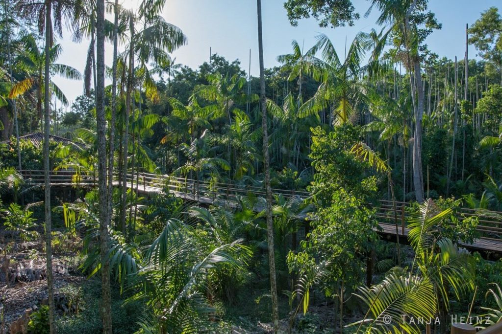 Reserva Natural Vale in Brasilien