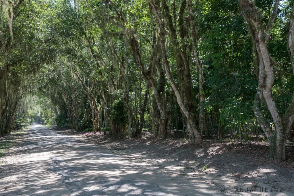 Reserva Natural Vale in Brasilien