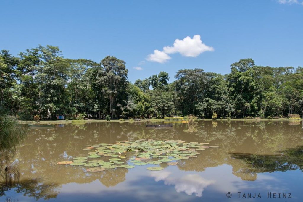 Reserva Natural Vale in Brasilien