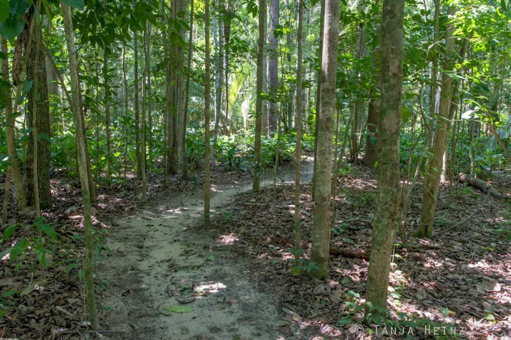 Reserva Natural Vale in Brasilien