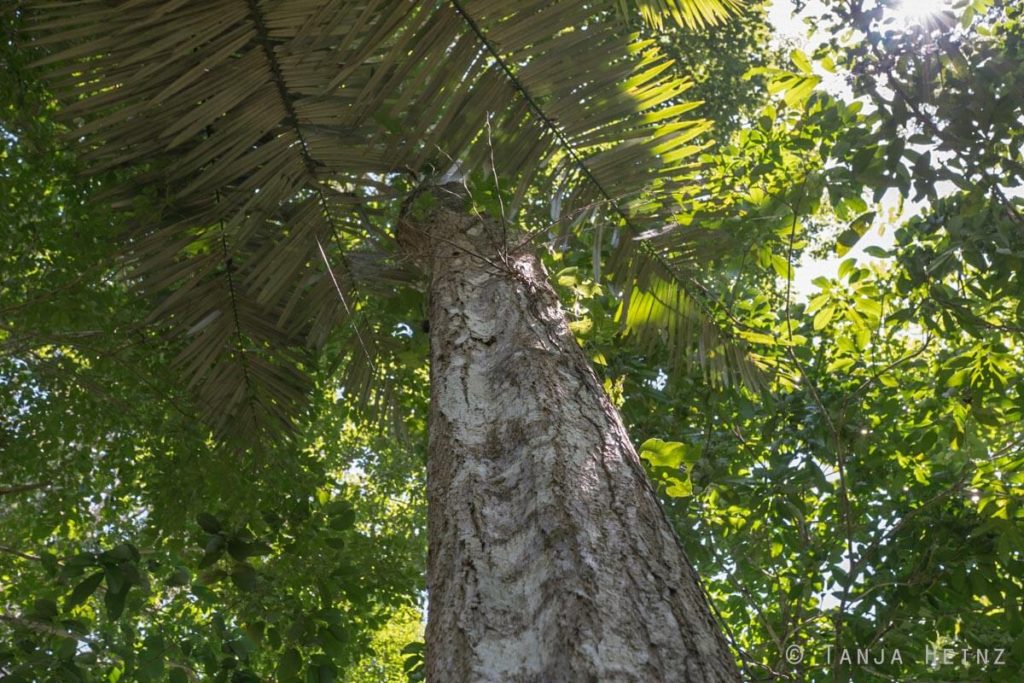 Reserva Natural Vale in Brasilien