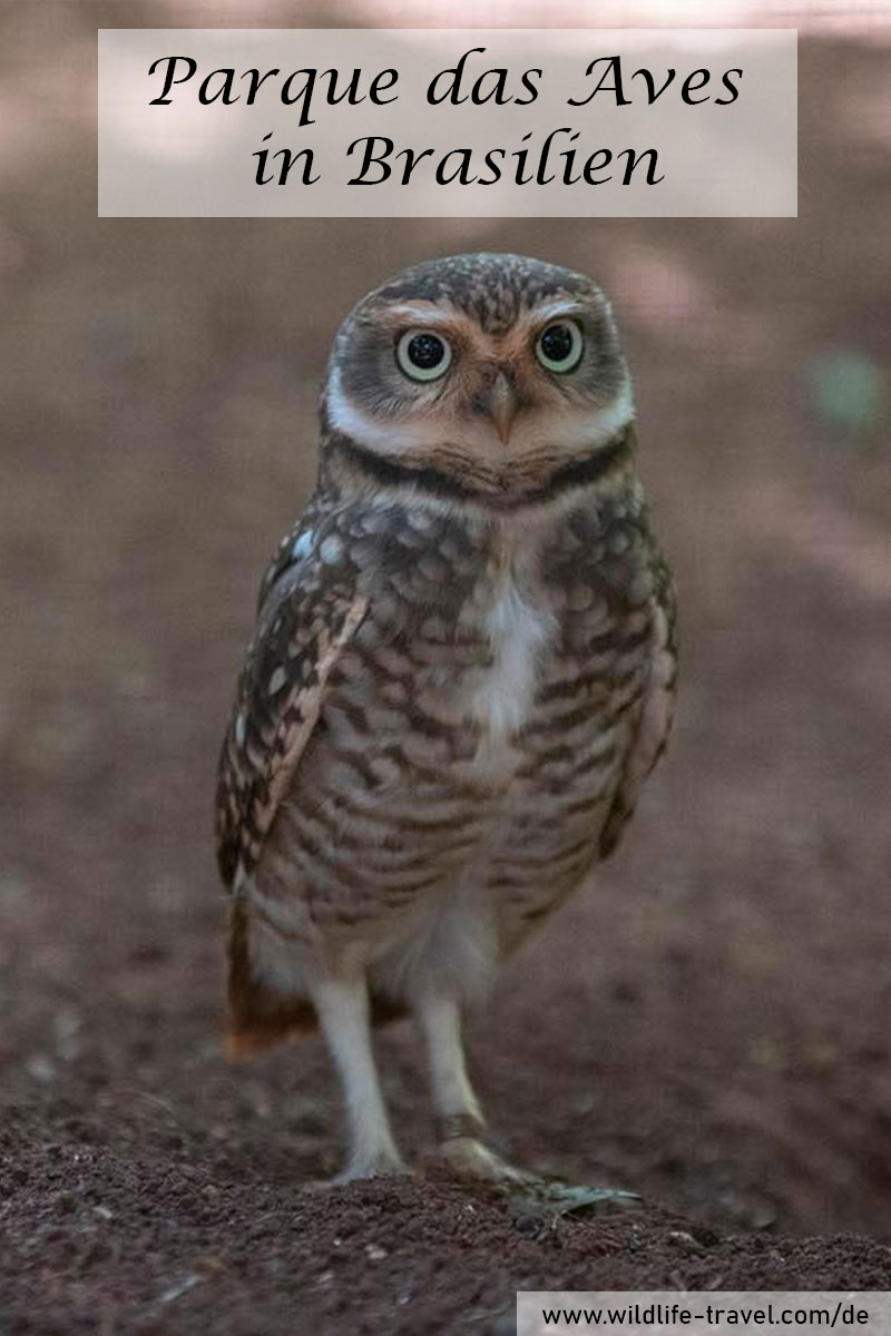 Vogelpark-parque-das-aves