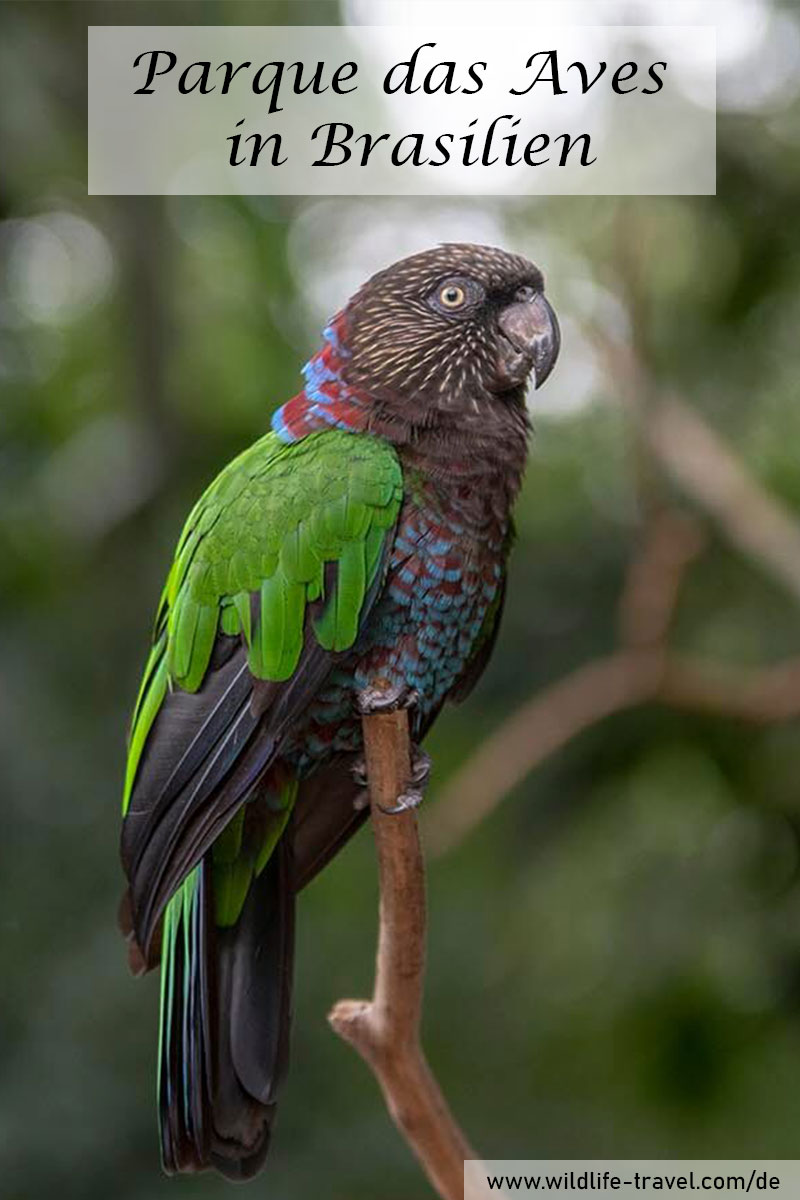 Vogelpark-parque-das-aves