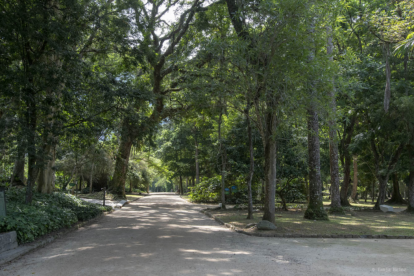 Jardim-Botânico-Rio-de-Janeiro
