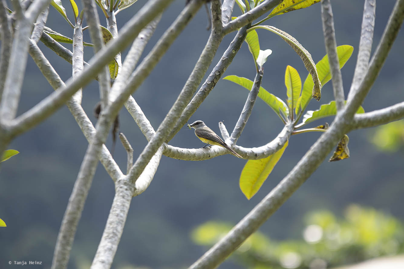 Jardim-Botânico-Rio-de-Janeiro