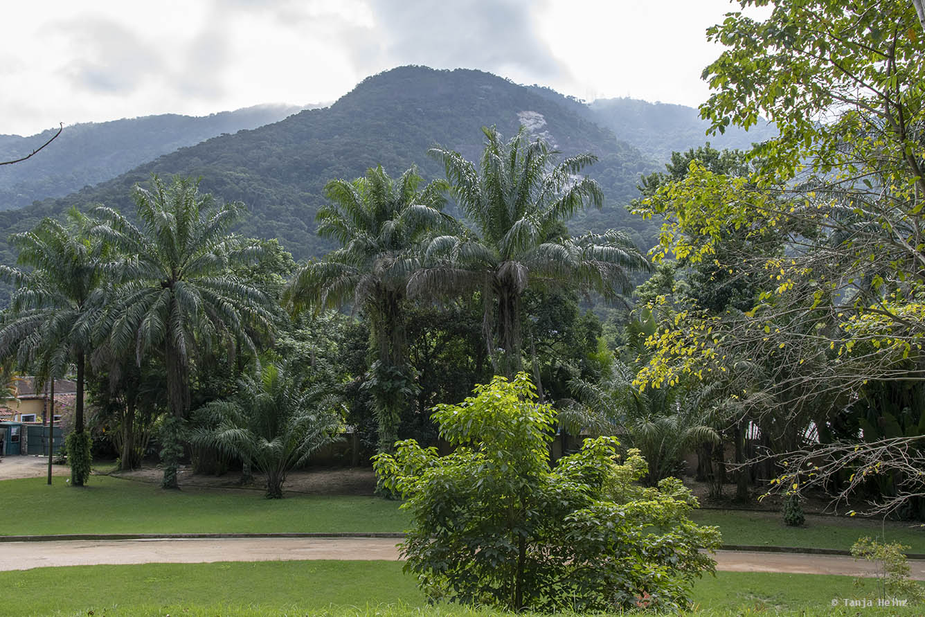Jardim-Botânico-Rio-de-Janeiro