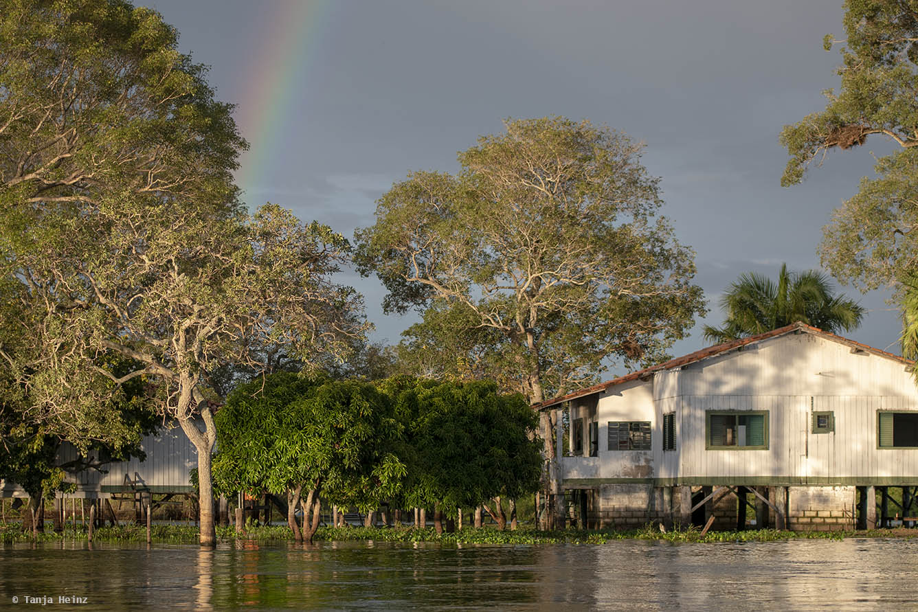 Pantanal-Brazil