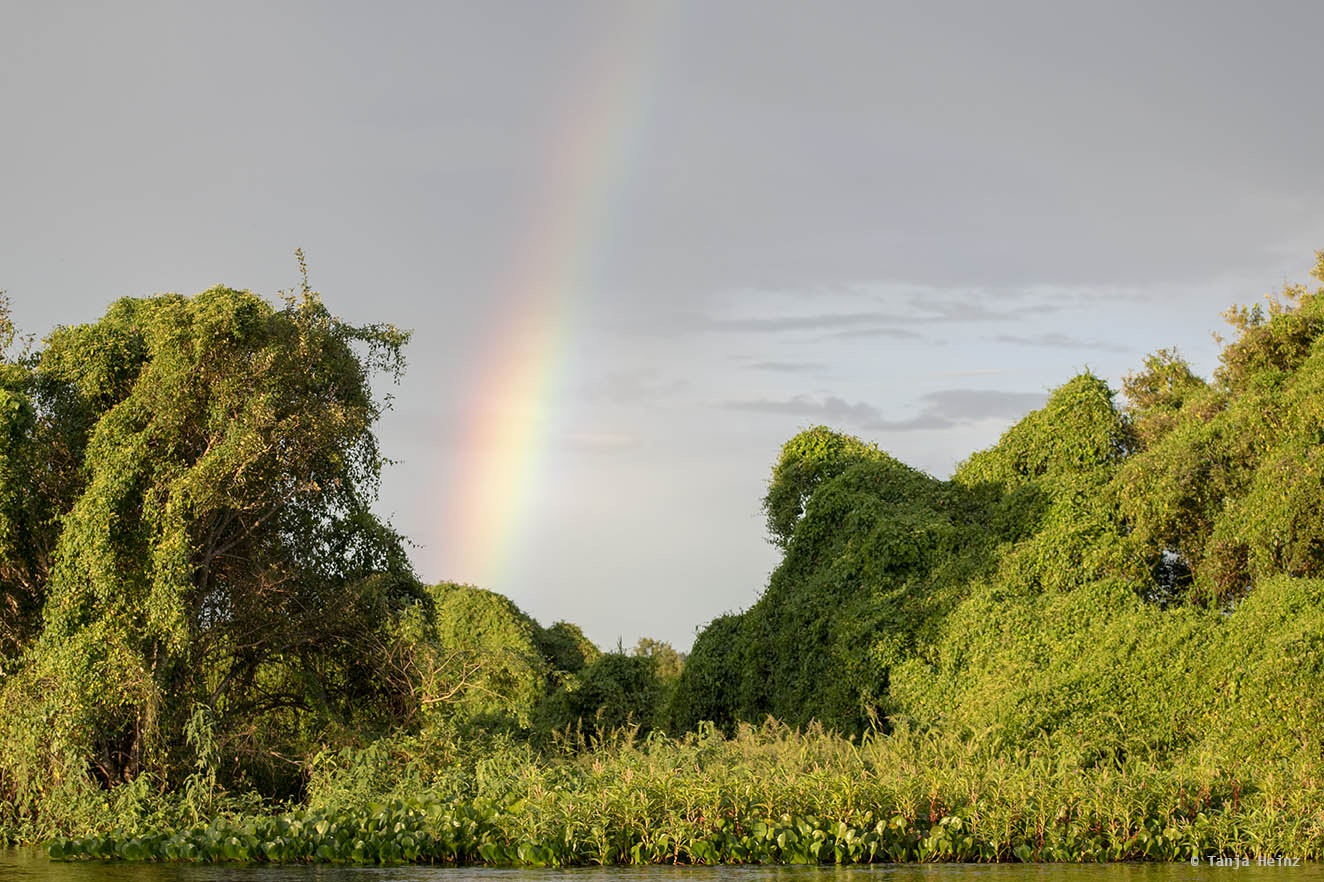 Pantanal-Brazil