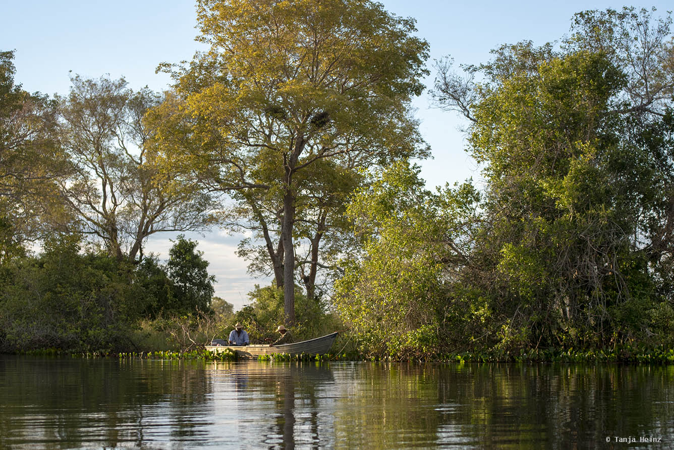 Pantanal-Brazil