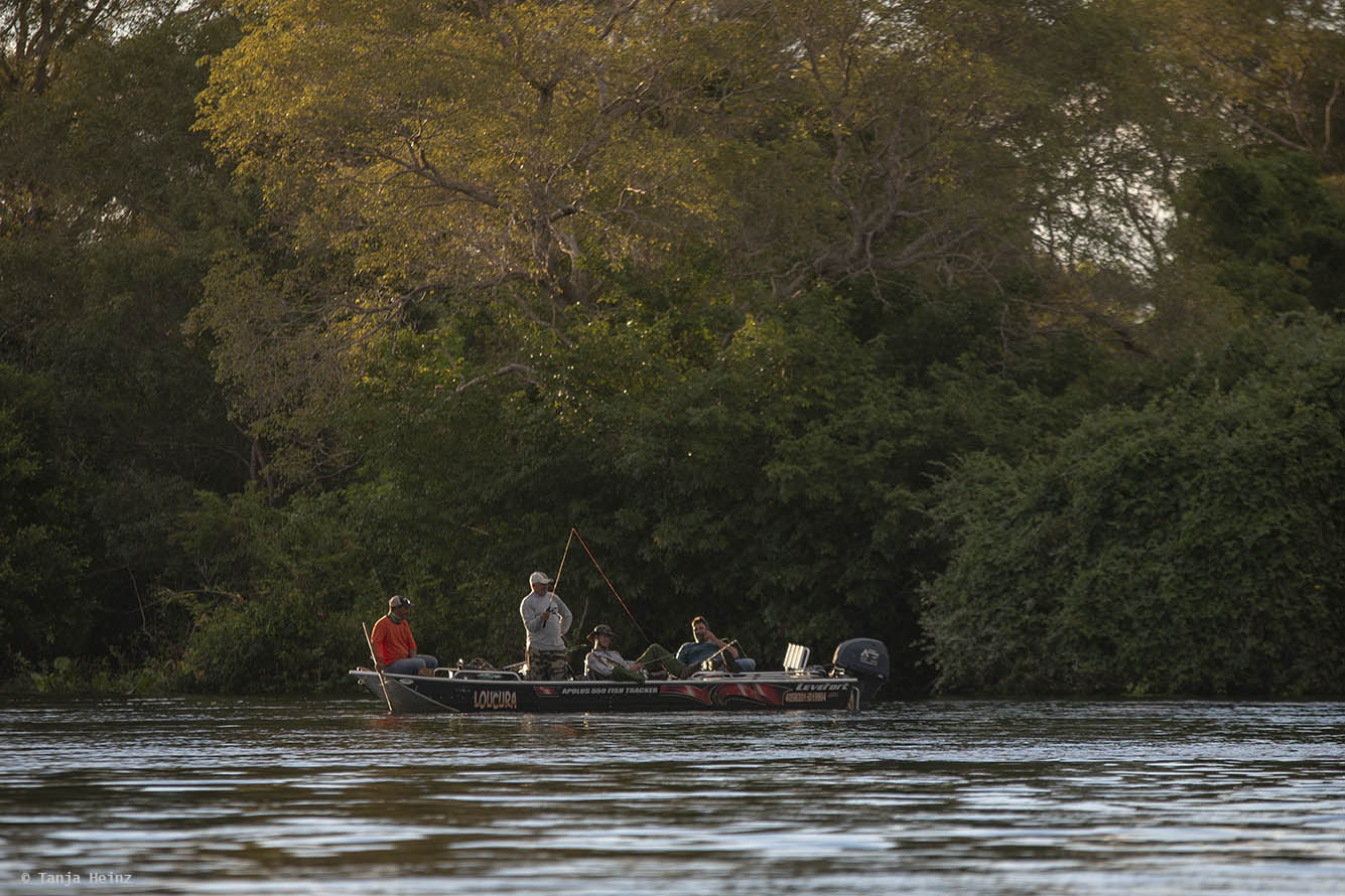 Pantanal-Brazil