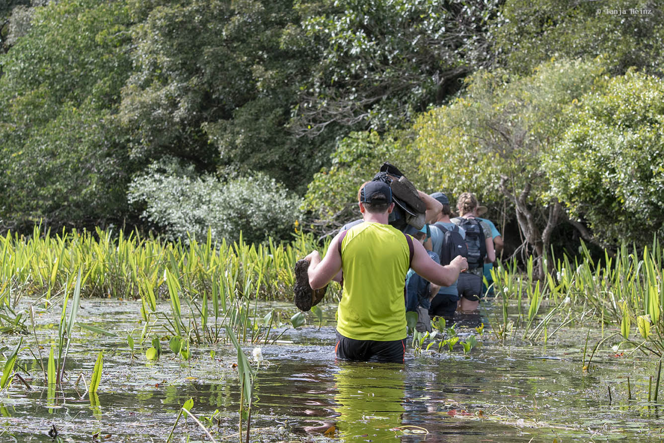 Pantanal-Brazil