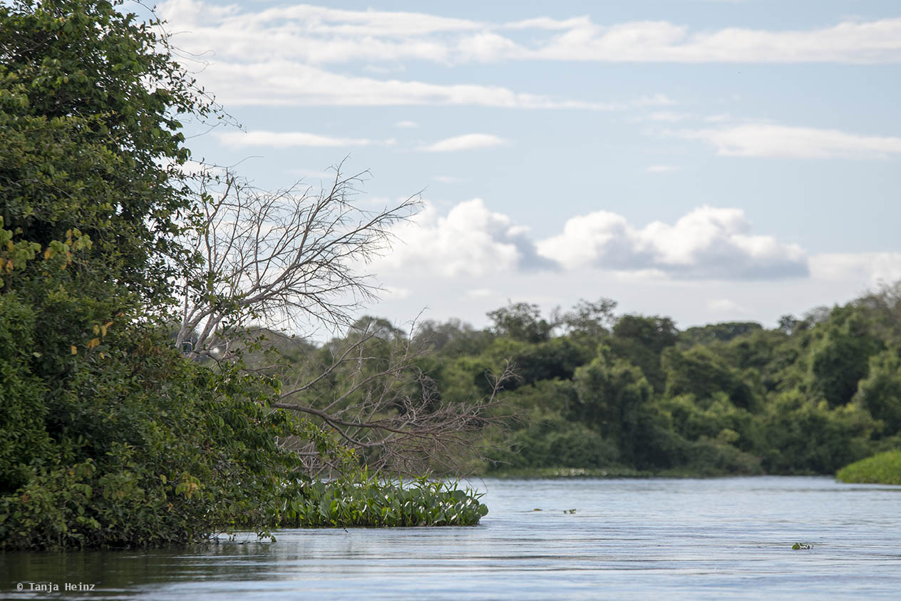 Pantanal-Brazil
