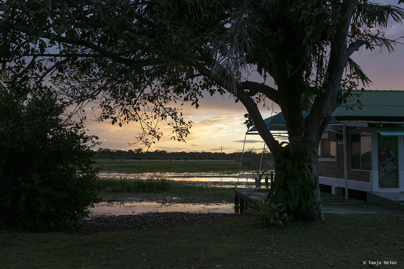 Pantanal-Brazil