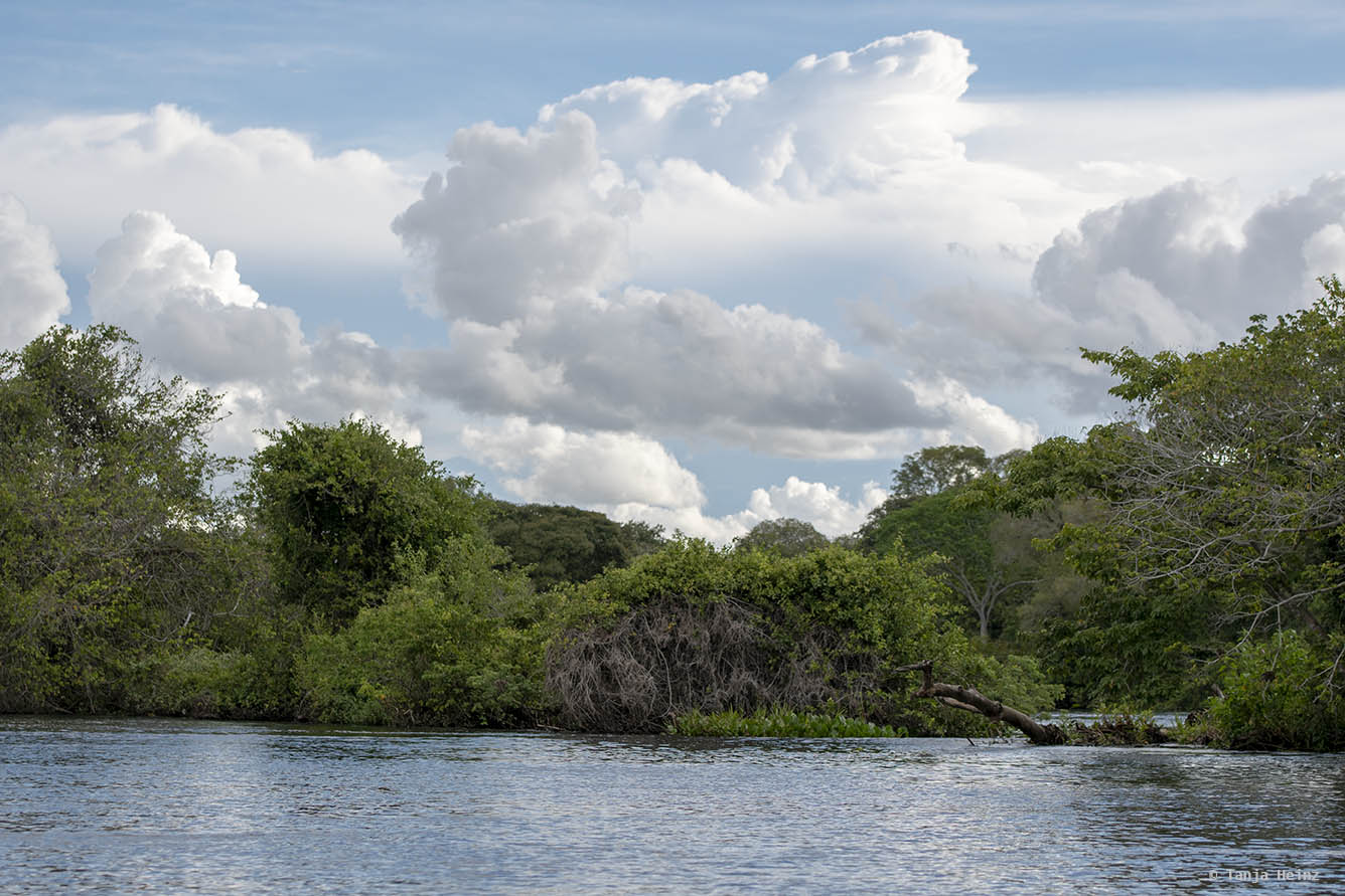 Pantanal-Brazil