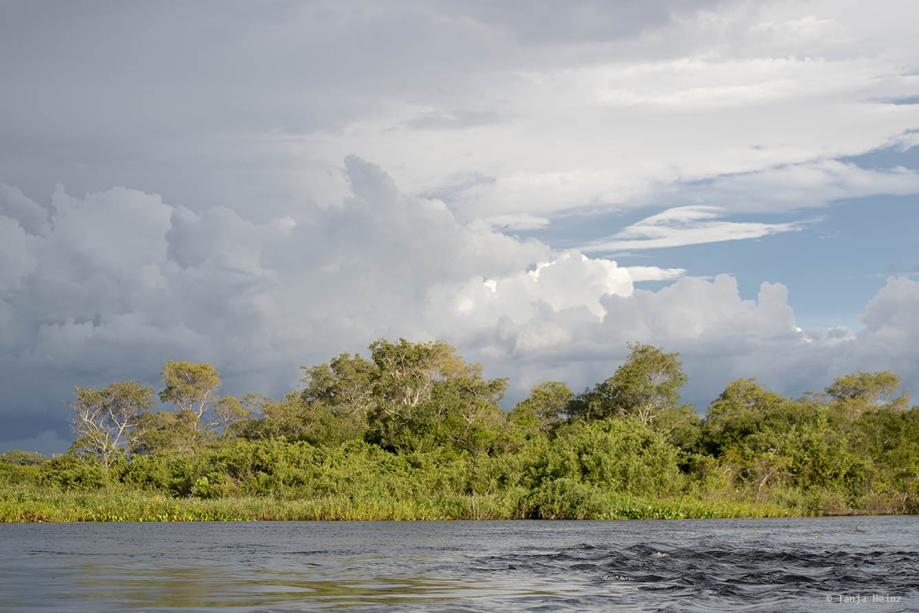 Pantanal-Brazil