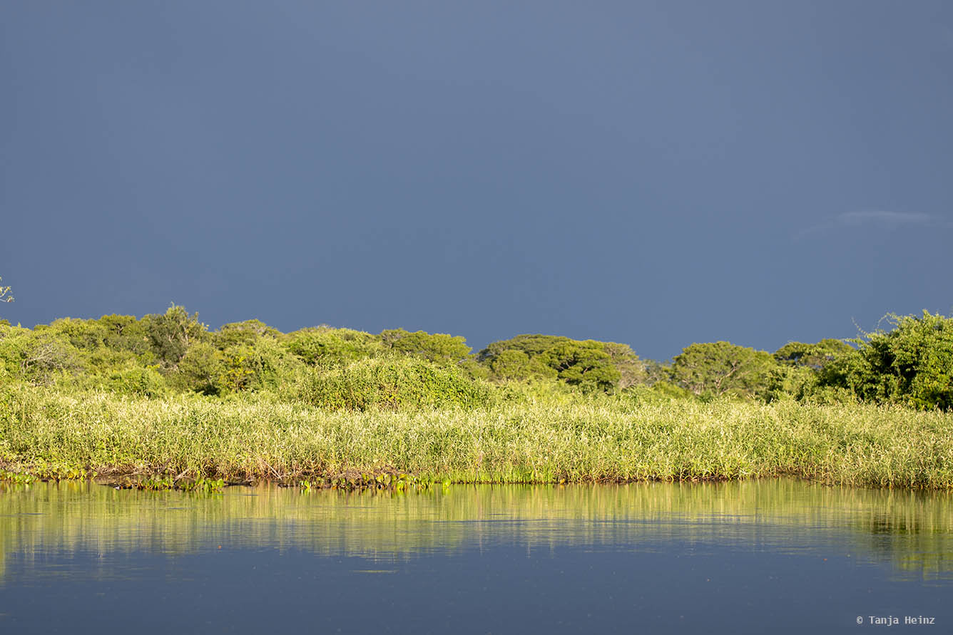 Pantanal-Brazil