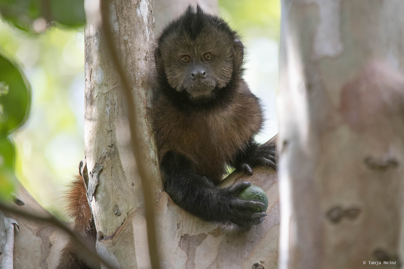 City Nature Challenge