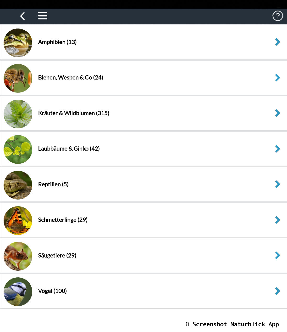 City Nature Challenge