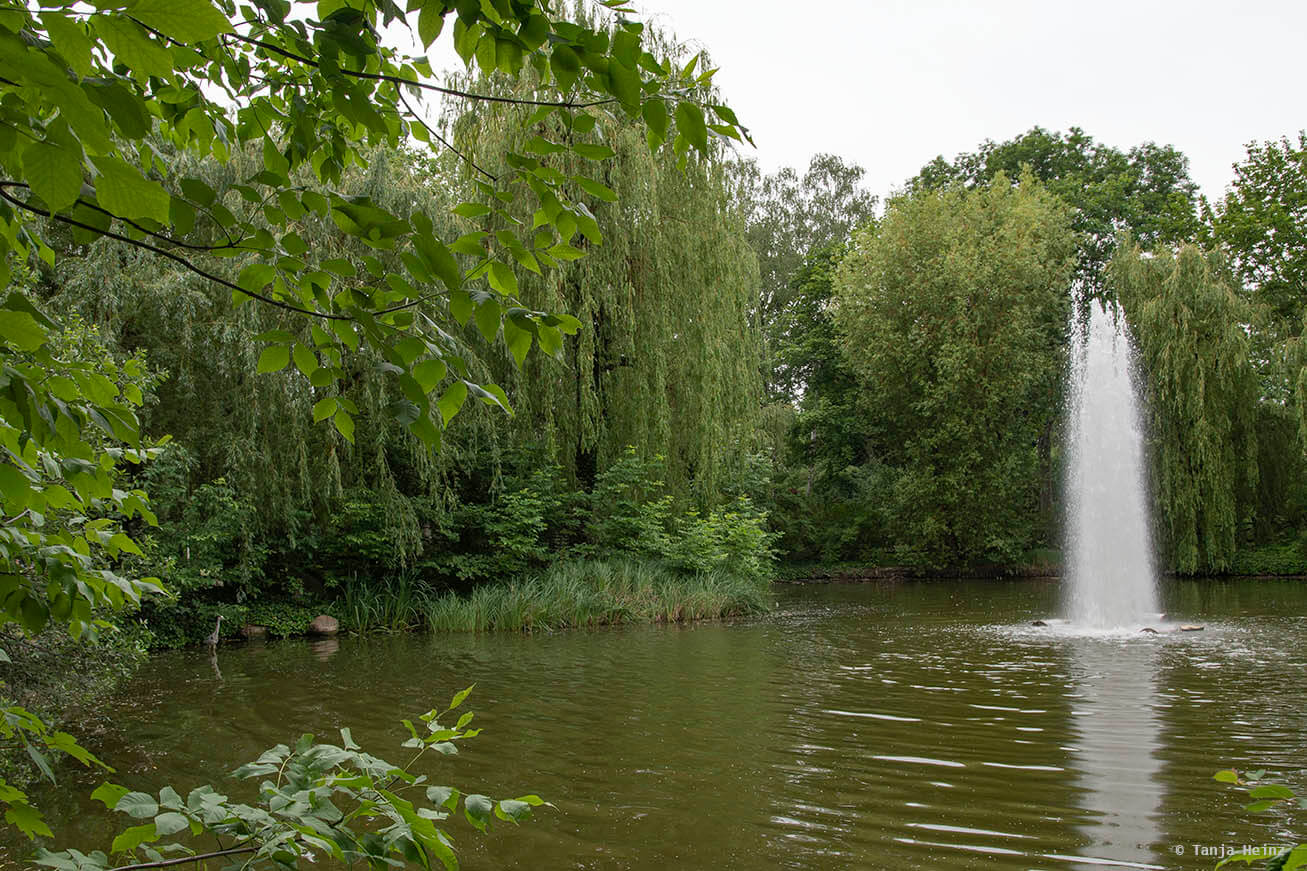 nachtigall-in-berlin