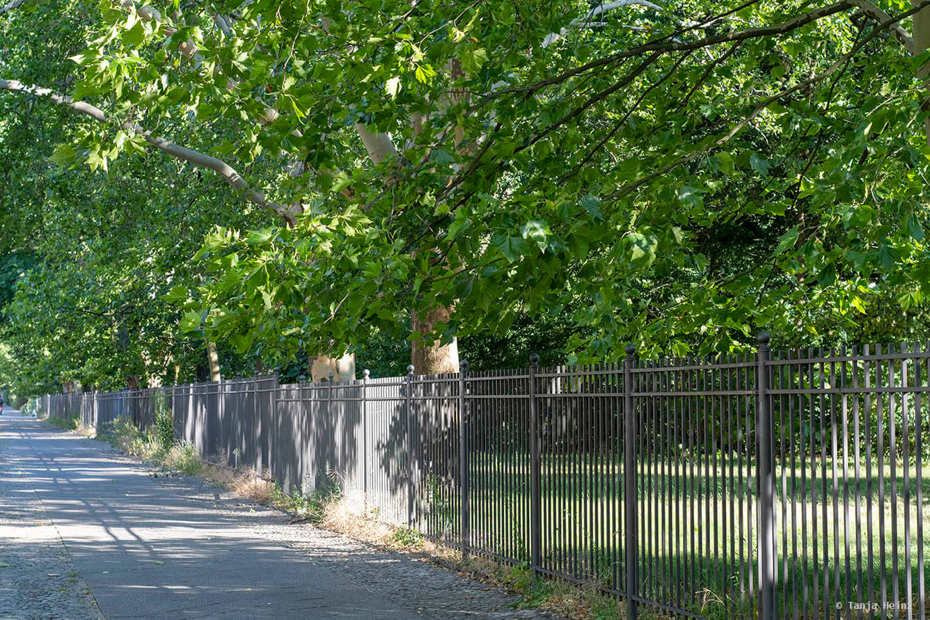 nachtigall-in-berlin