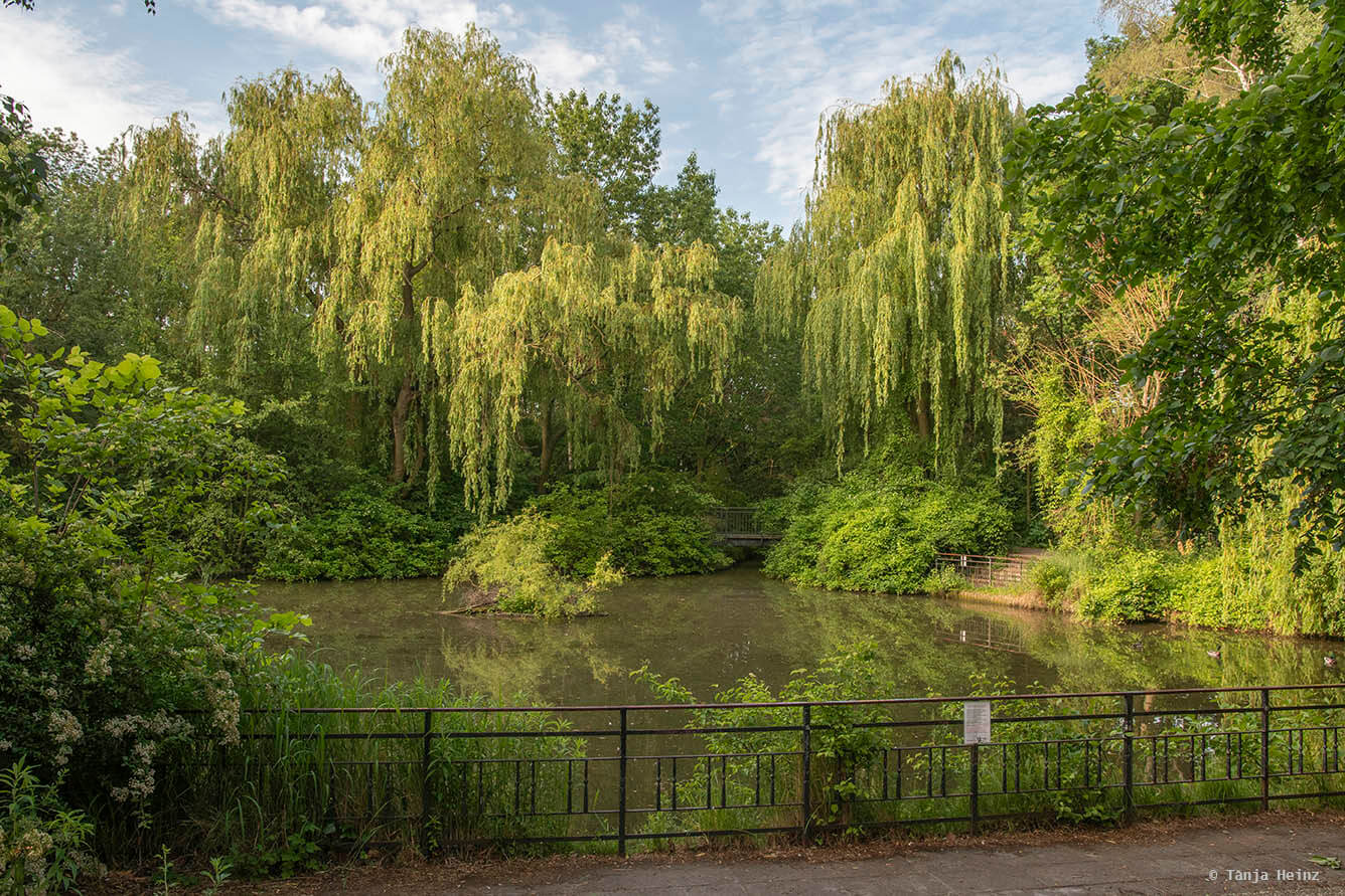 nachtigall-in-berlin