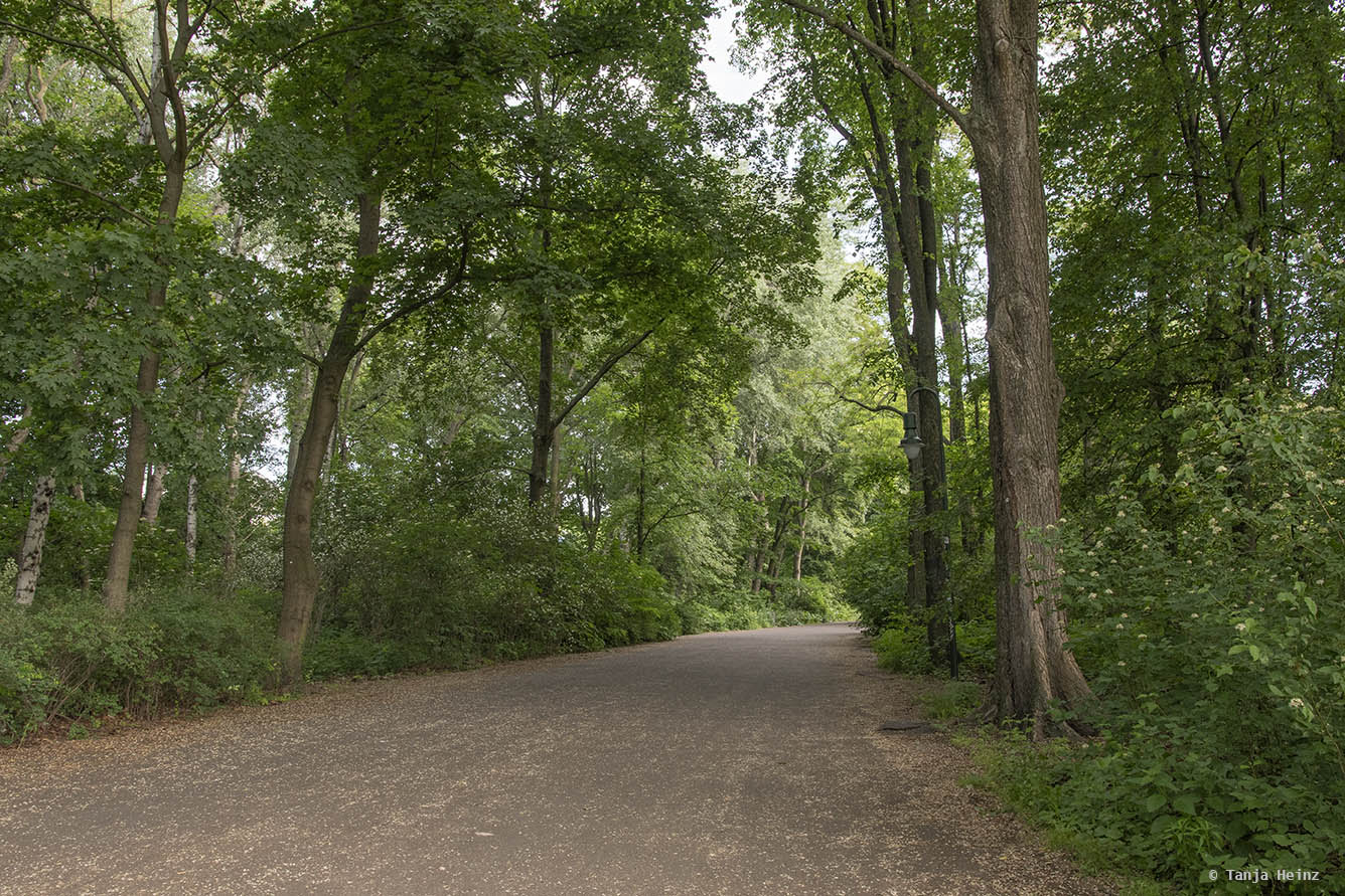 nachtigall-in-berlin