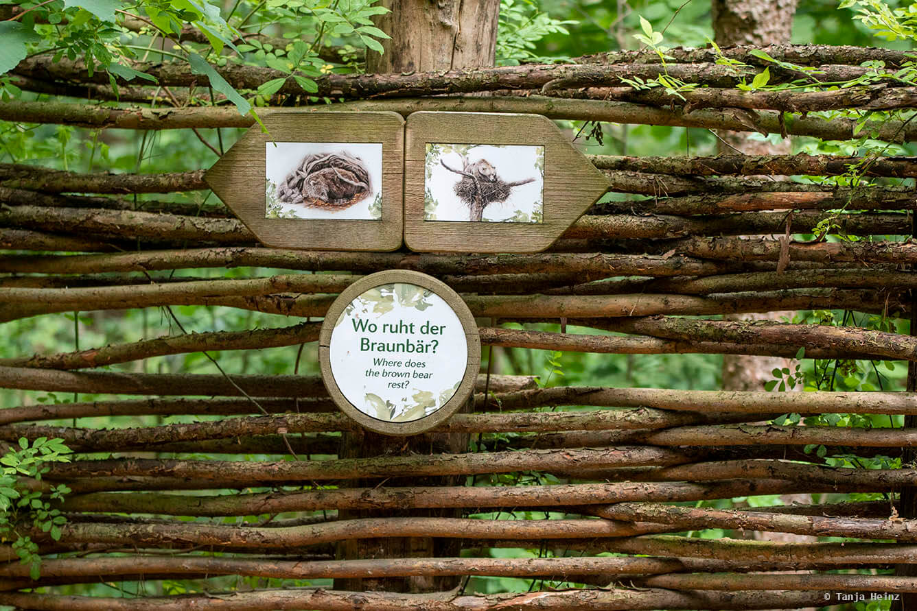 Bärlabyrinth im Bärenwald