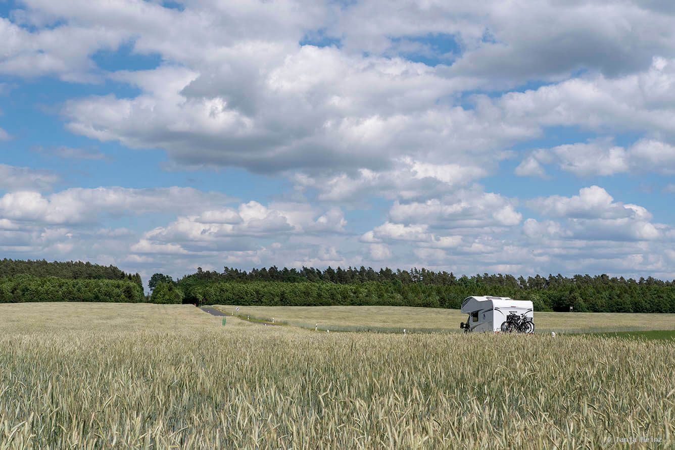 Landschaft in der Müritz