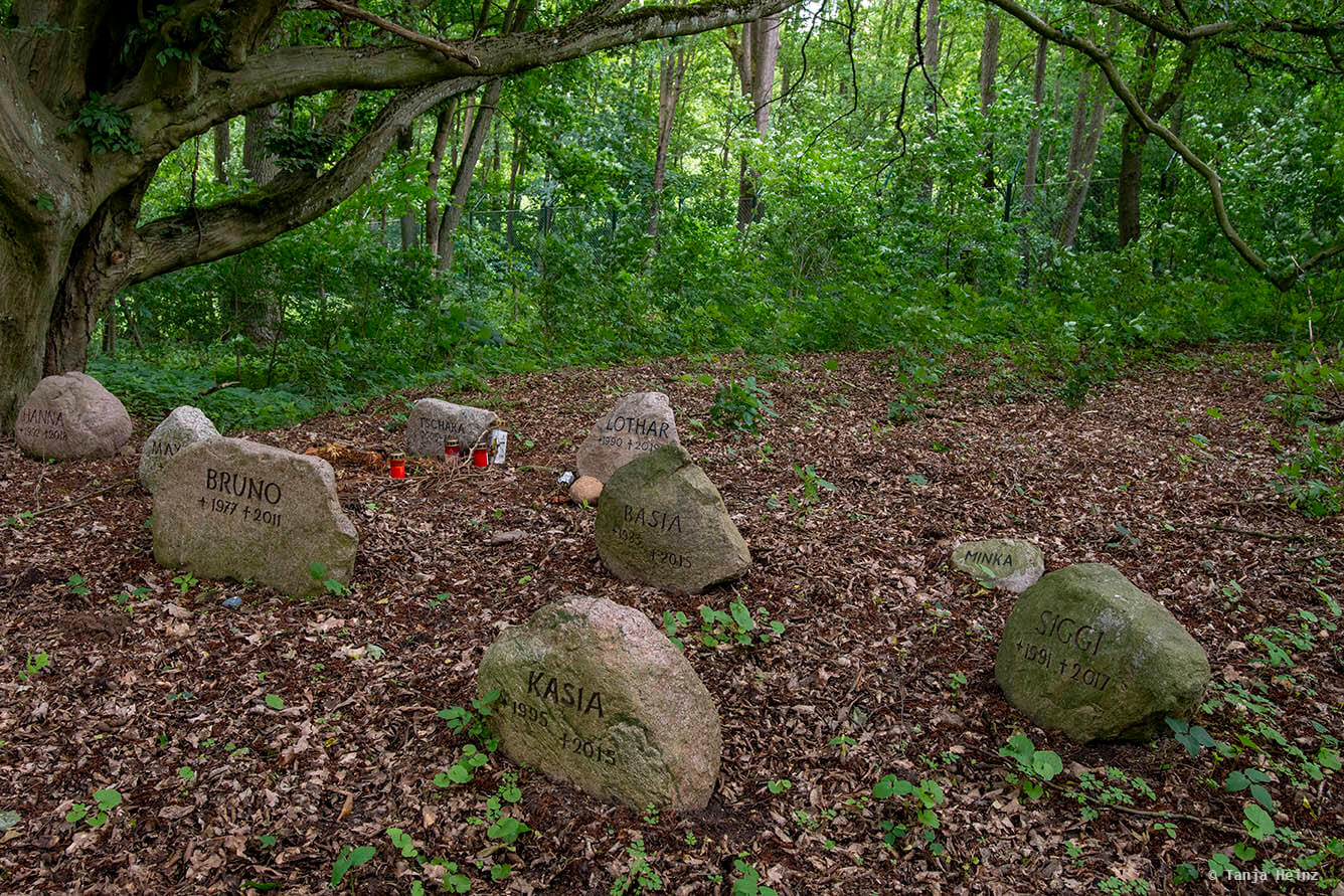Bärenfriedhof