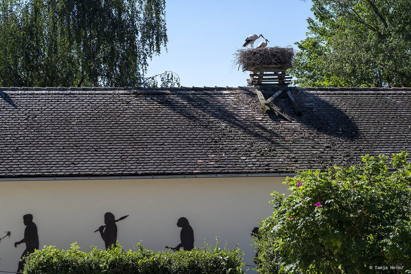 Entrance area at the Affenberg Salem