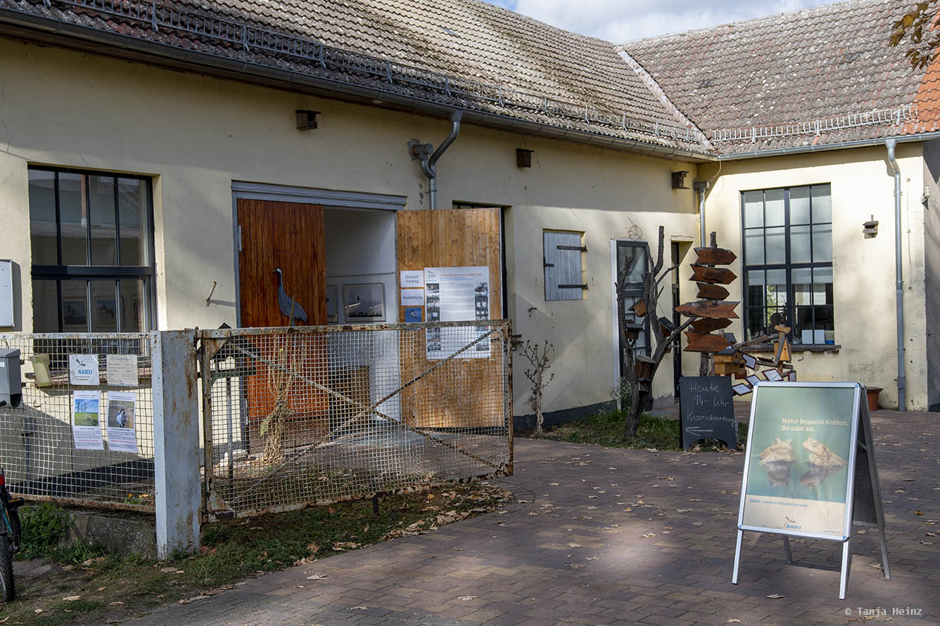 Storchenschmiede Linum