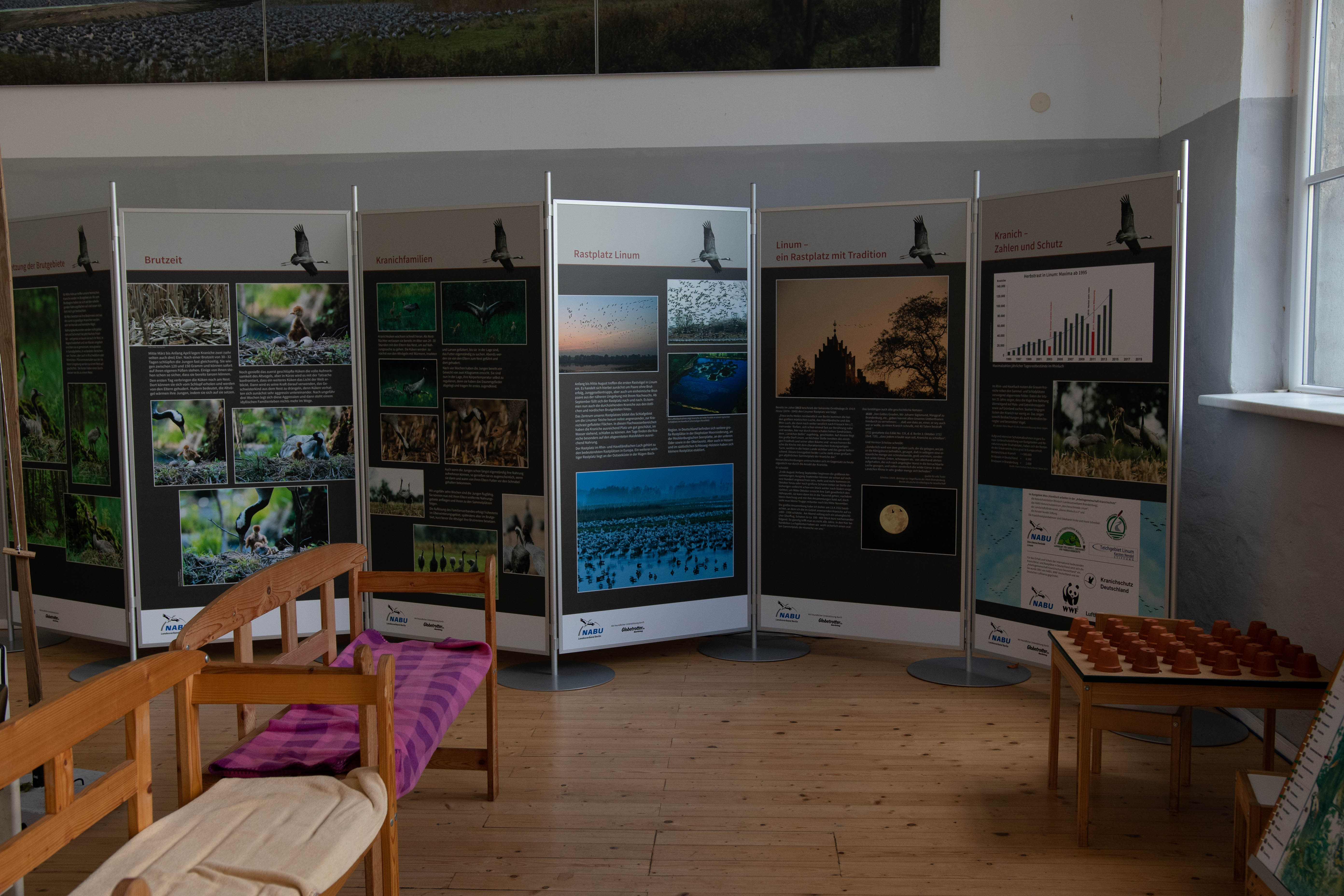 Ausstellung über Kraniche