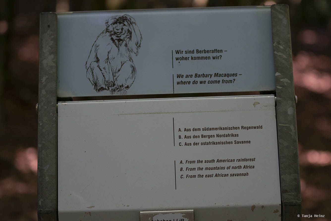 information panel