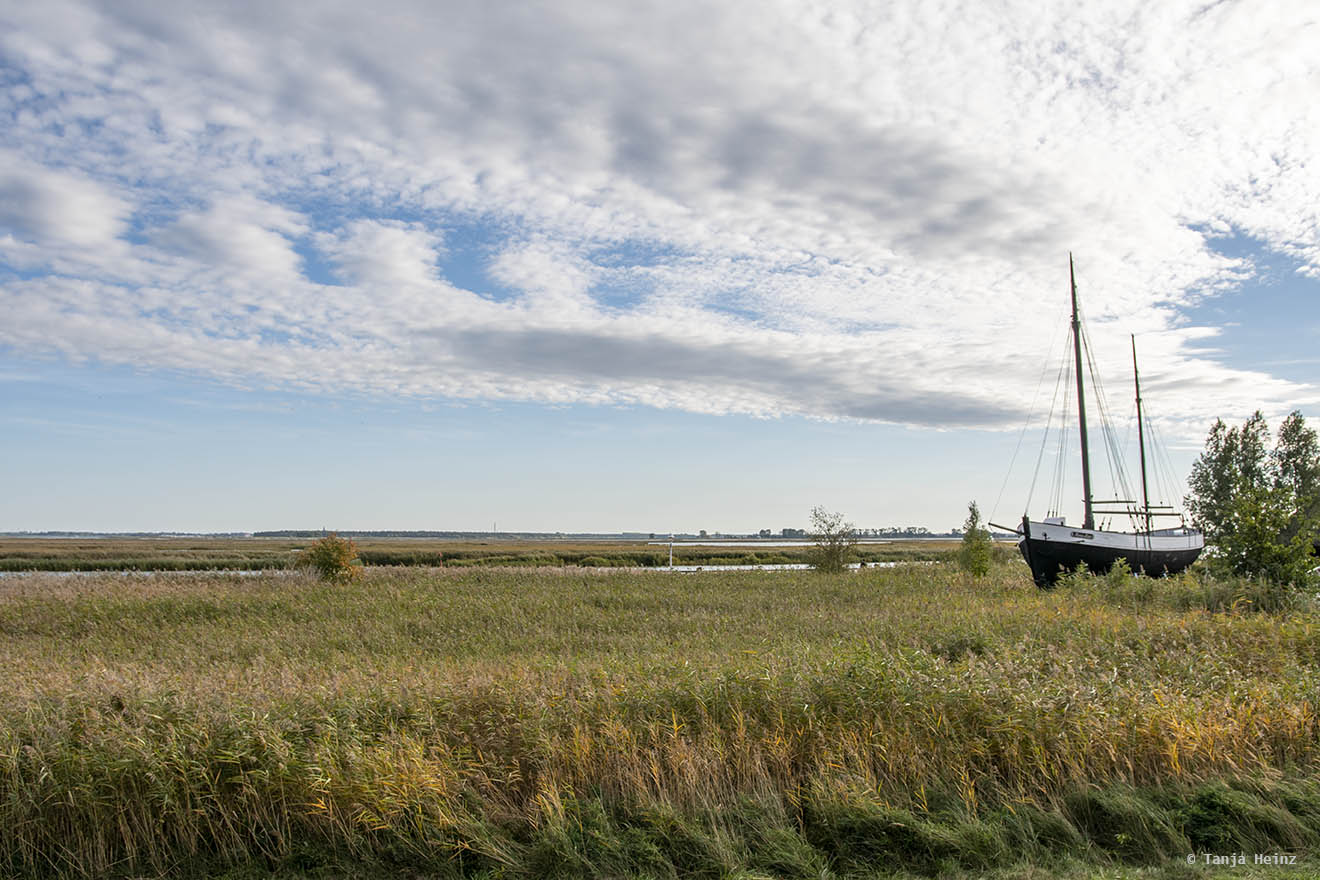 Landschaft in der Nähe des Hafens in Zingst