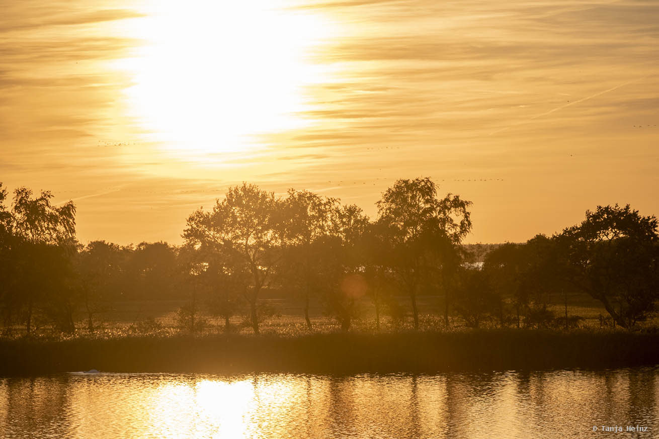 Sonnenuntergang auf Fischland-Darß-Zingst