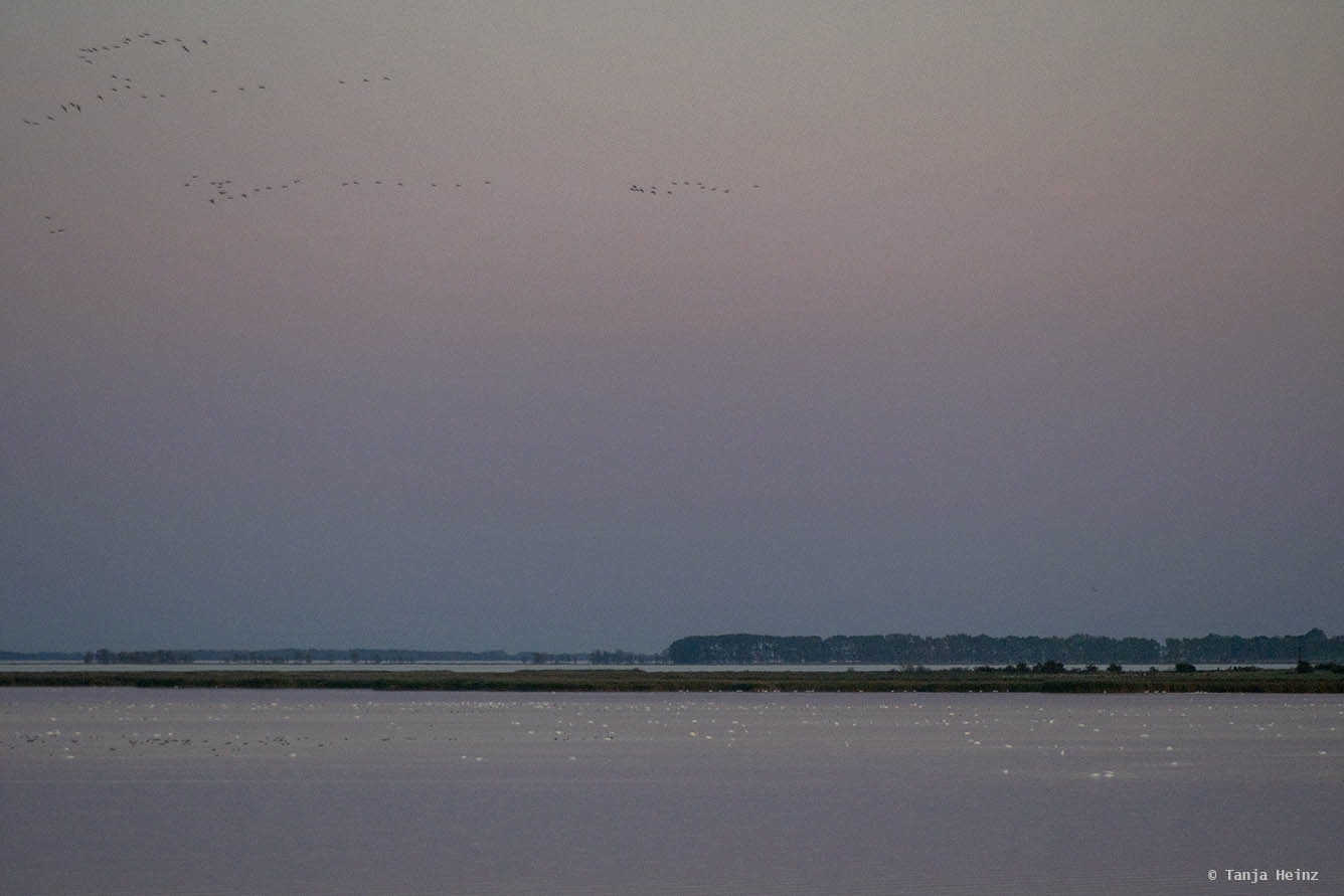 Bodden auf Fischland-Darß-Zingst
