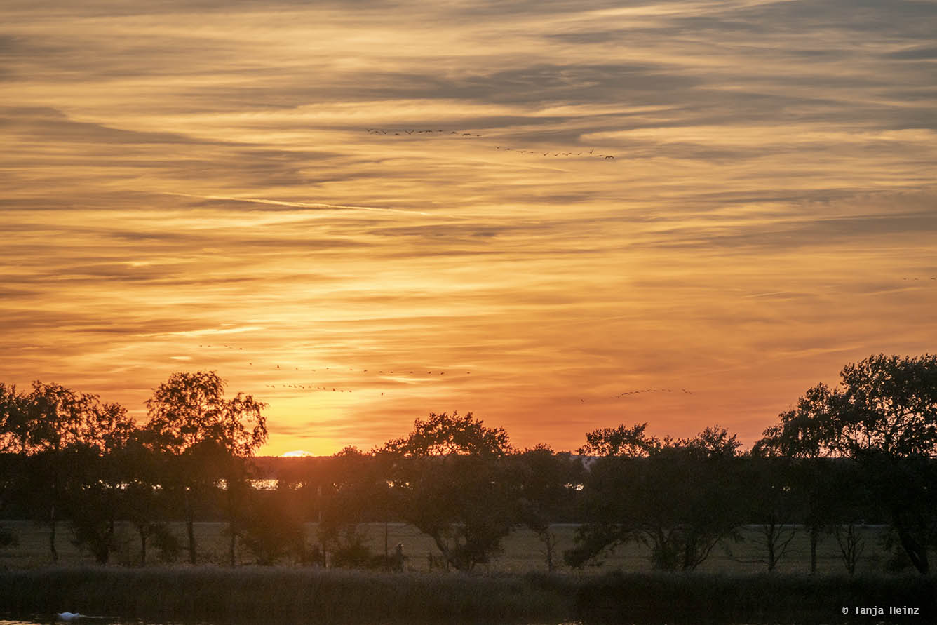 Sonnenuntergang in Zingst