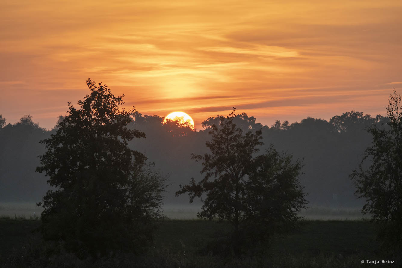Sonnenuntergang in Zingst