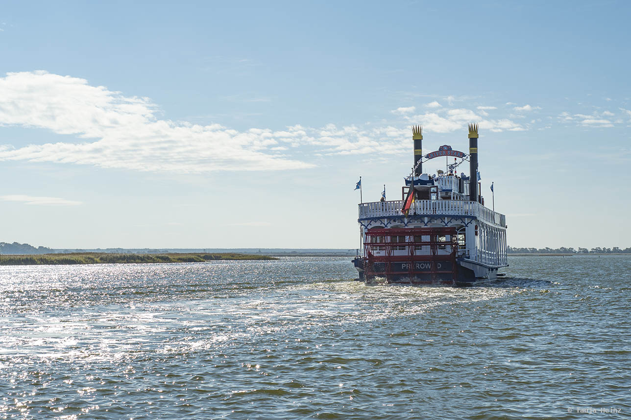 Kranichbeobachtung mit dem Schiff