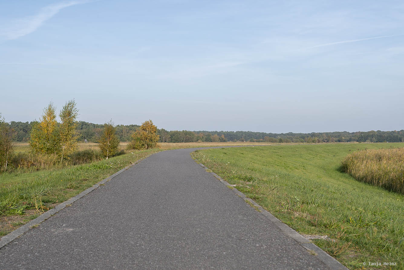 Fahrradweg auf Fischland-Darß-Zingst