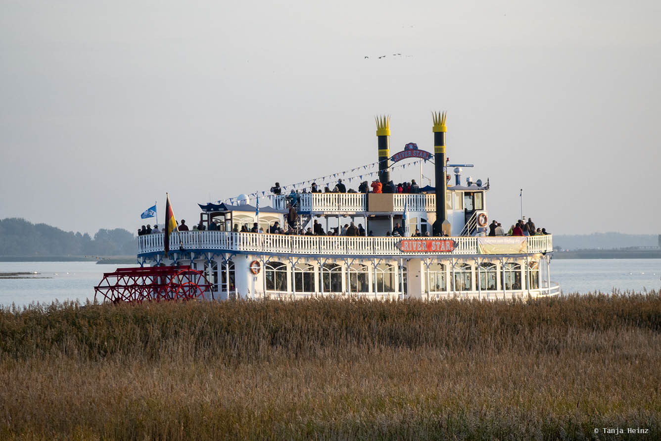 MS River Star in Zingst